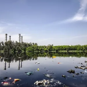 diritto penale ambientale reati ambientali